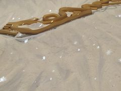 -上海体育博物馆