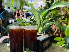 -Fern Forest Cafe