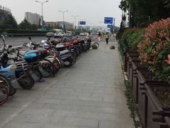-上海师范大学附属中学(三林校区)