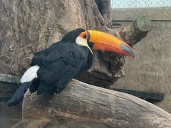 -大连森林动物园