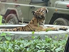 -秦皇岛野生动物园