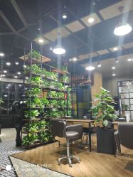 -UPTOP鼎上造型