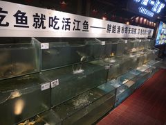 水产区-胖姐渔村(中源大道店)