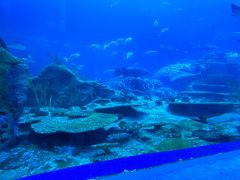 -珠海长隆海洋王国
