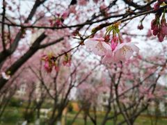 -白塘生态植物园