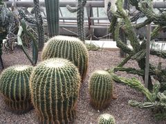 -南山植物园