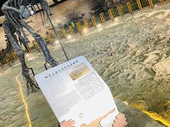 -二连浩特国家地质公园