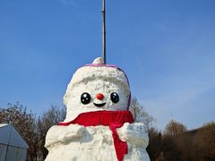 -沈阳奥体冰雪嘉年华