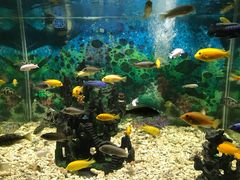 -绍兴梦享海洋公园