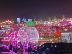 -枇杷园食为鲜火锅(南山店)