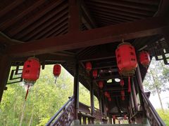 -合肥滨湖国家森林公园