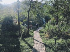 -灵山岛风景区