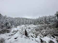 -瓦屋山景区