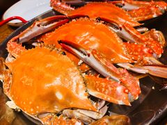 -必点海鲜·鲅鱼水饺(鞍山西道店)