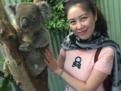 -费瑟代尔野生动物园