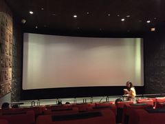 Palace&nbsp;Cinema百丽宫影城(大慈寺太古里店)-成都百丽宫影城(LUXE太古里店)