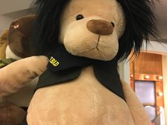 -济州岛泰迪熊博物馆