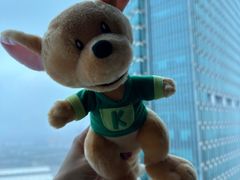 -上海浦东嘉里大酒店