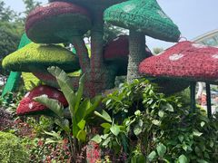 -南山植物园