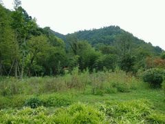 -贵阳市花溪国家城市湿地公园