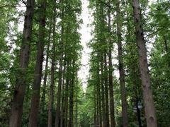 iphone_upload_pic-上海怡沁园度假酒店