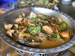 -李东农庄(中南百草园地标店)