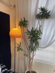 点击看大图 -轻妆Feel·半永久纹眉眼线