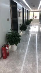 -悟空祛痘·诺奖技术专业店