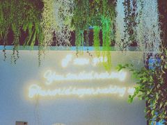 -Husky Go! 哈士奇体验馆·宠物咖啡厅狗咖