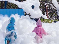 -季高兔窝窝亲子园(上海薰衣草公园店)