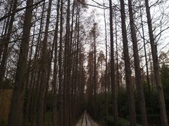 -同里国家湿地公园