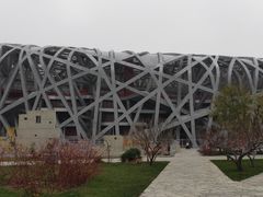 -麦当劳(国家体育场南路店)
