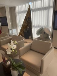 -Yestar宁波艺星整形医院