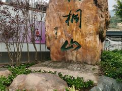 -梧桐山风景名胜区