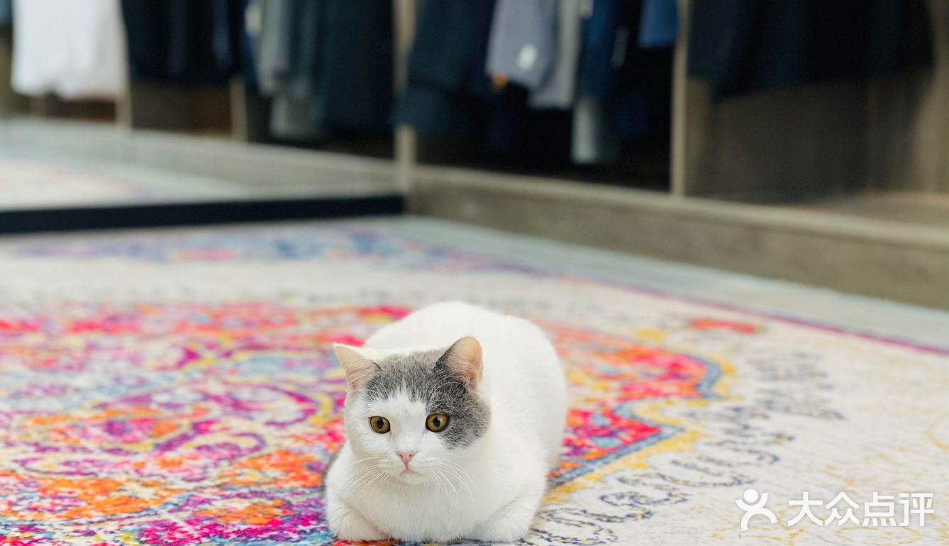 很不错的西服定制店