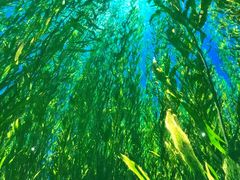 -海合安青岛极地海洋公园