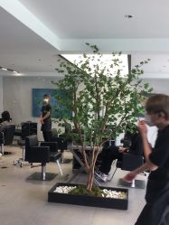 点击看大图 -付军剪艺JF ProSalon