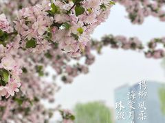 -元大都城垣遗址公园