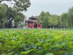 -四川大学(望江校区)