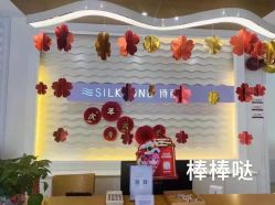 -SILKTONE诗丽堂美容