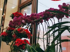 -春泉大冷面(兴华街店)