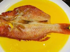 -甄御•海鲜新青岛菜(麦岛店)