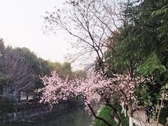 -星光城