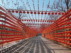 -北京凤凰岭