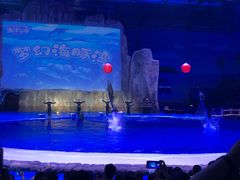 -华夏文旅海洋公园