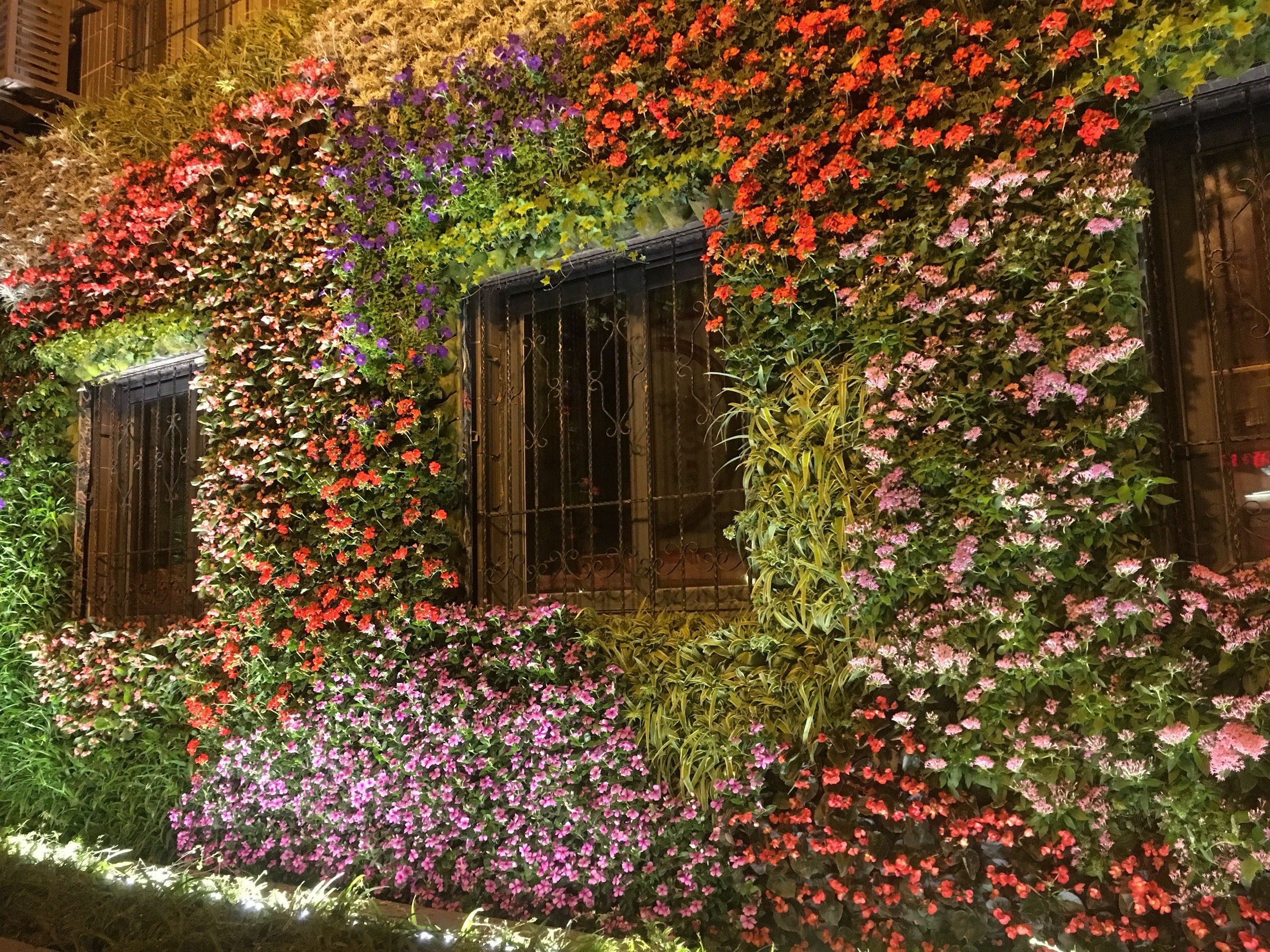 五大道花墙太美了吧!