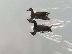 -前关湿地公园
