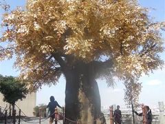 -南京市江宁方山