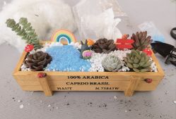 -海豚湾高端月子会所(黄浦店)