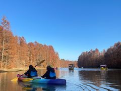 -上海海湾国家森林公园